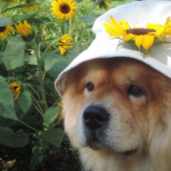 Meet your Posher, Hanna - Picture 1 of 1